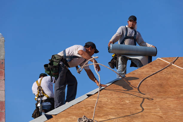 Roof Gutter Cleaning in Mount Pleasant, PA